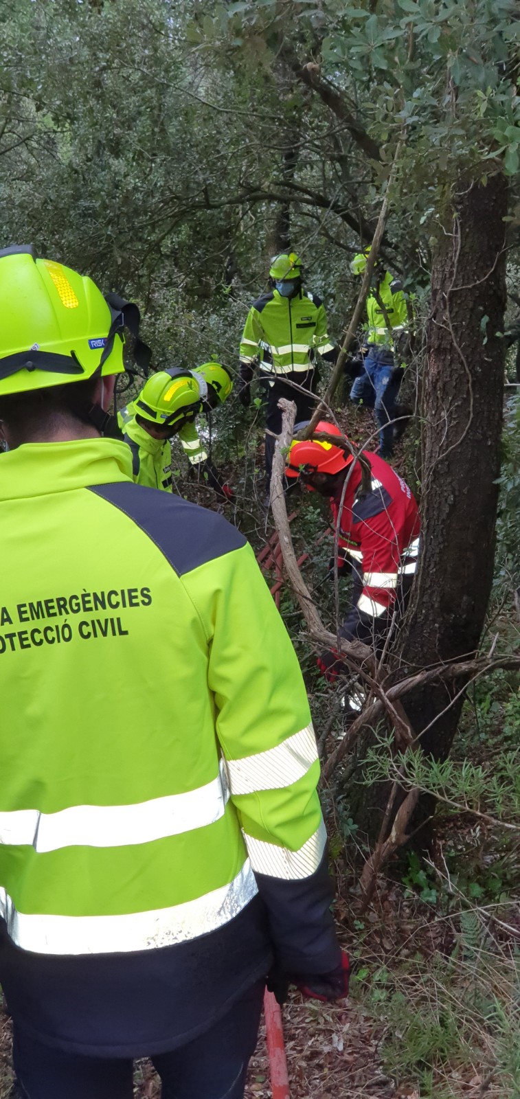 GM-EPC - Incendi forestal 3